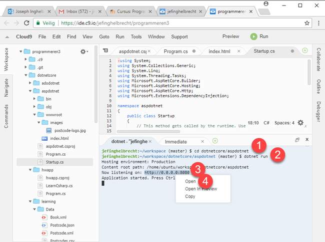 Cloud9 Run aspdotnet project